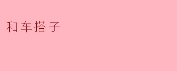与车搭子的友谊