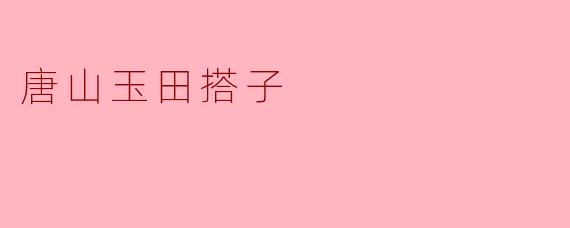 唐山玉田搭子