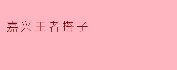 嘉兴王者搭子