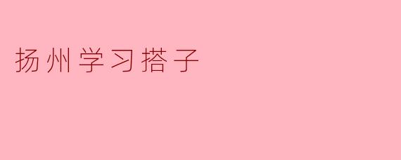 什么是扬州学习搭子？