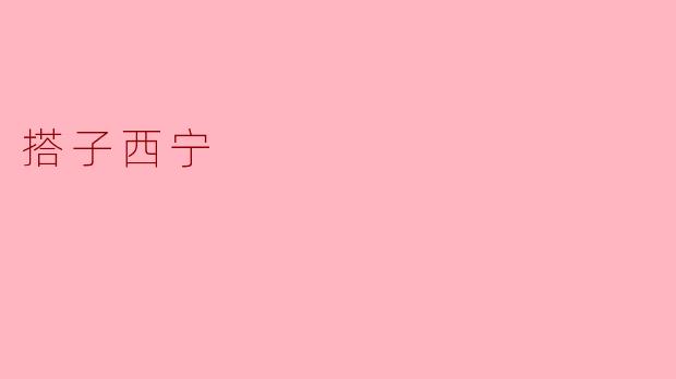 什么是搭子西宁？