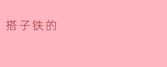 搭子铁的