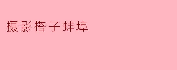 摄影搭子蚌埠