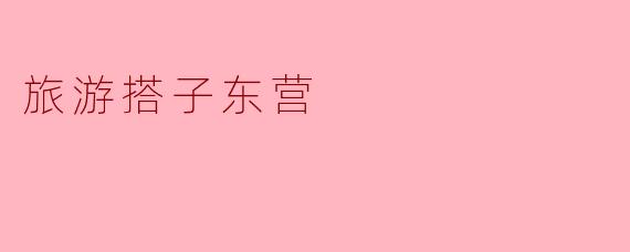 旅游搭子东营