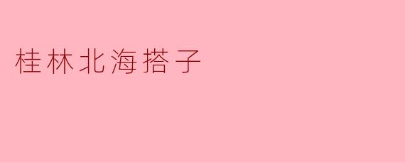 桂林北海搭子