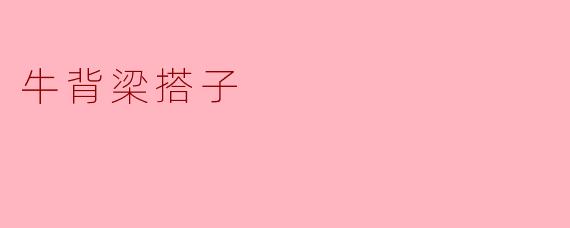 牛背梁搭子