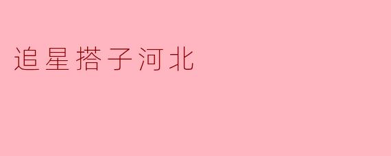 追星搭子河北是怎样的一档节目？