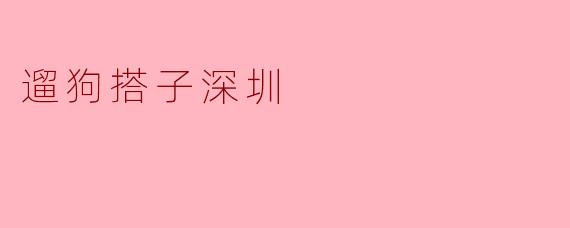 遛狗搭子深圳