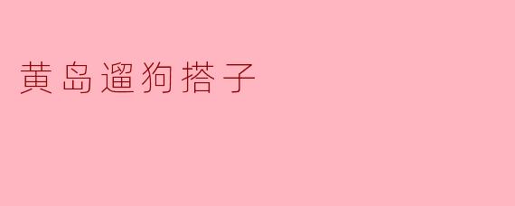黄岛遛狗搭子