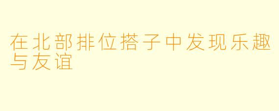在北部排位搭子中发现乐趣与友谊