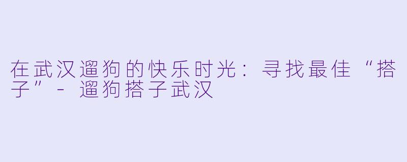 在武汉遛狗的快乐时光：寻找最佳“搭子”-遛狗搭子武汉