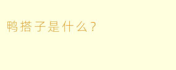 鸭搭子是什么？