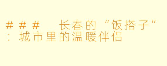 ### 长春的“饭搭子”：城市里的温暖伴侣