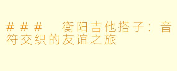 ### 衡阳吉他搭子:音符交织的友谊之旅