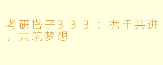 考研搭子333:携手共进,共筑梦想