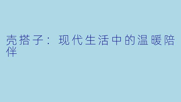 壳搭子：现代生活中的温暖陪伴