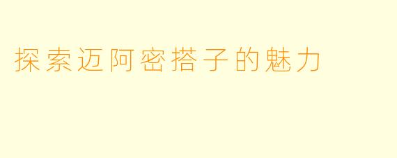 探索迈阿密搭子的魅力