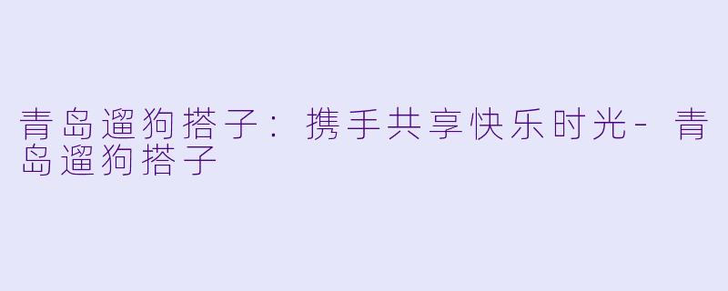 青岛遛狗搭子：携手共享快乐时光-青岛遛狗搭子