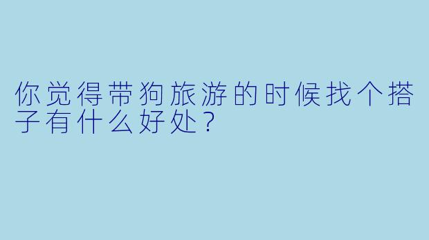 你觉得带狗旅游的时候找个搭子有什么好处？