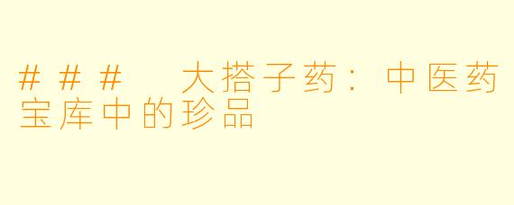### 大搭子药:中医药宝库中的珍品