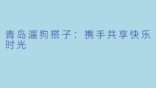 青岛遛狗搭子：携手共享快乐时光