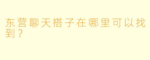 东营聊天搭子在哪里可以找到？  