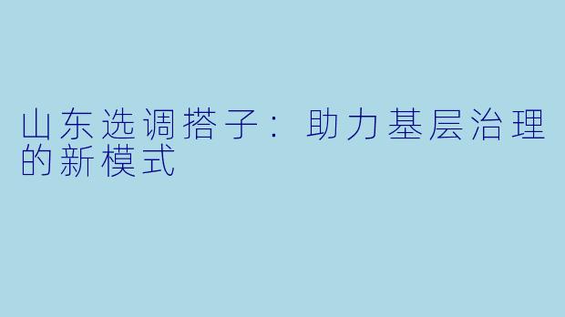 山东选调搭子：助力基层治理的新模式