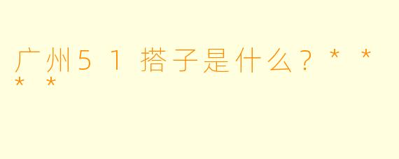 广州51搭子是什么？****