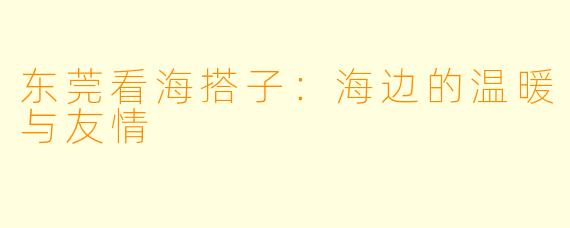 东莞看海搭子:海边的温暖与友情