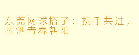 东莞网球搭子：携手共进，挥洒青春朝阳
