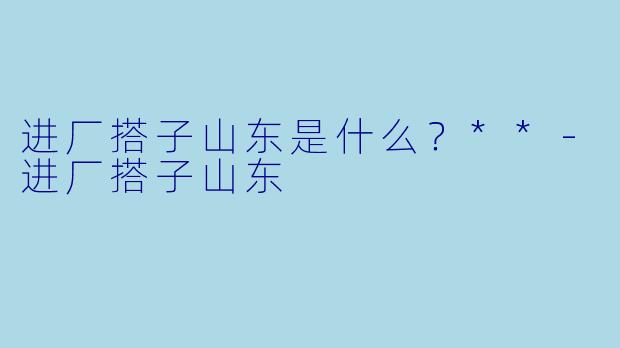 进厂搭子山东是什么？**