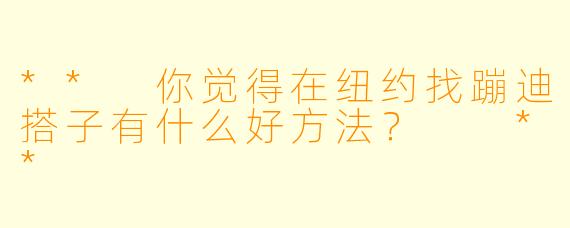 ** 你觉得在纽约找蹦迪搭子有什么好方法？  **