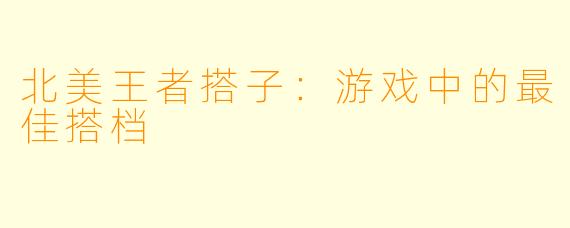 北美王者搭子:游戏中的最佳搭档