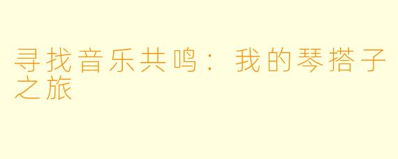 寻找音乐共鸣：我的琴搭子之旅