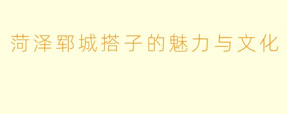 菏泽郓城搭子的魅力与文化