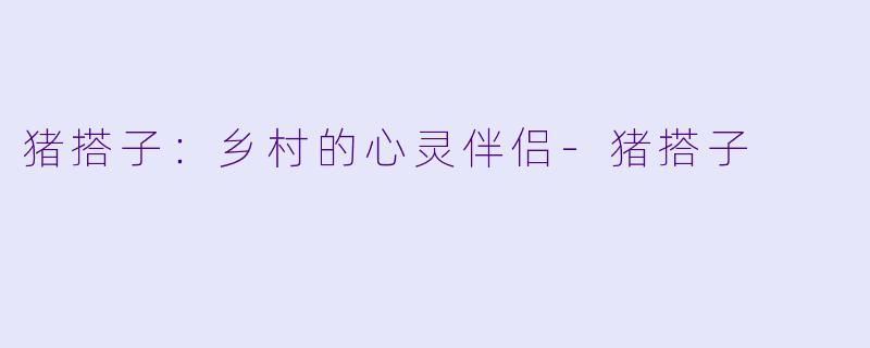 猪搭子:乡村的心灵伴侣-猪搭子