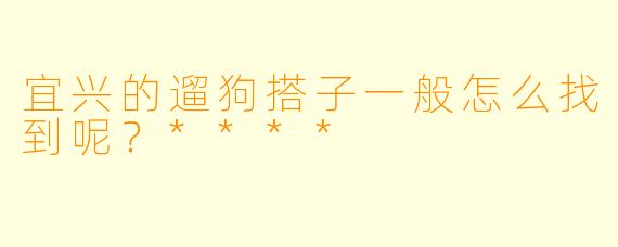 宜兴的遛狗搭子一般怎么找到呢？****