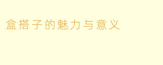 盒搭子的魅力与意义