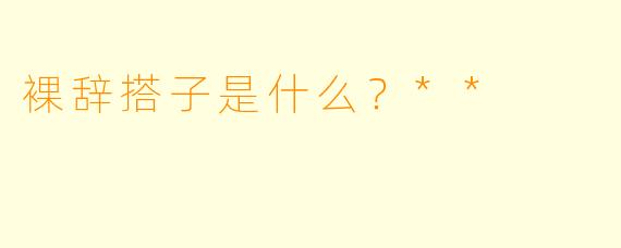 裸辞搭子是什么？**