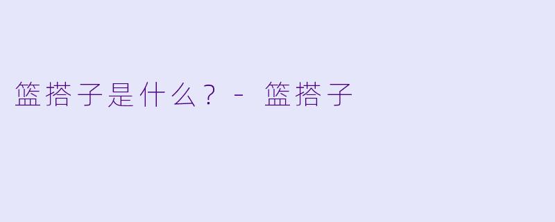篮搭子是什么？
