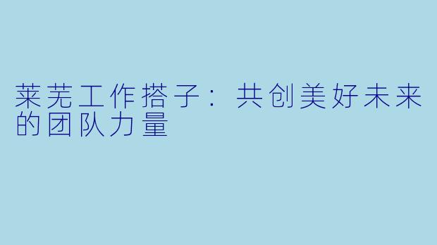 莱芜工作搭子：共创美好未来的团队力量