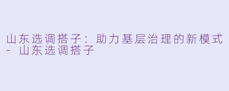 山东选调搭子：助力基层治理的新模式-山东选调搭子