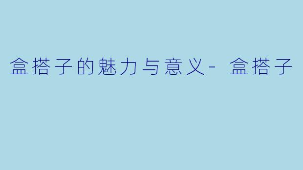 盒搭子的魅力与意义