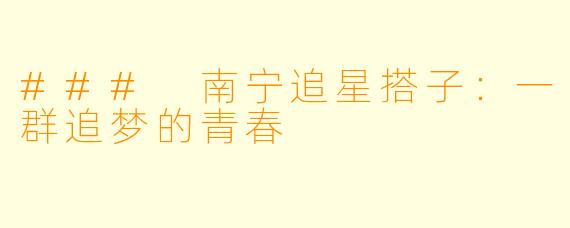 ### 南宁追星搭子:一群追梦的青春