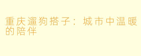 重庆遛狗搭子:城市中温暖的陪伴