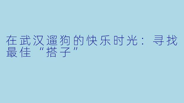 在武汉遛狗的快乐时光：寻找最佳“搭子”