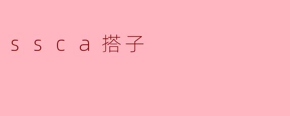 什么是ssca搭子？****