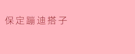 保定蹦迪搭子