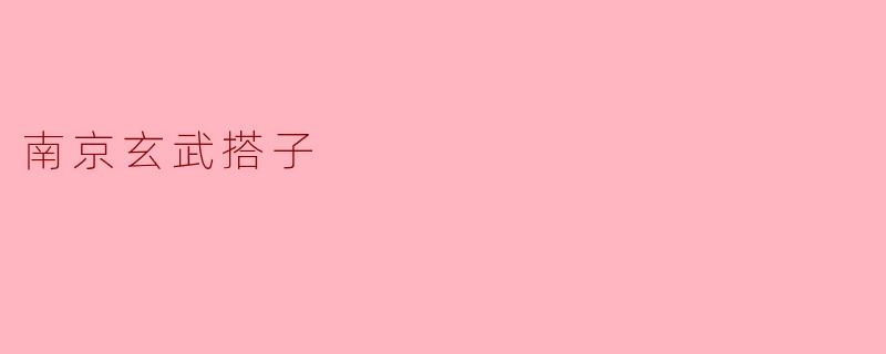 请问南京玄武搭子是什么?