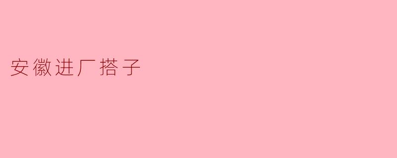 什么是“安徽进厂搭子”？  